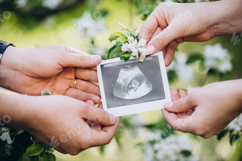 Preview: ultrasound picture of the future baby on the background of flowering trees, blurred background