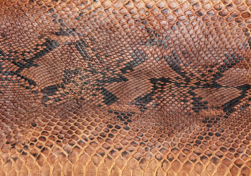 Preview: Snake skin pattern