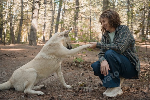 Preview: woman walks mixed-breed dog in woods, communicates with animal shaking paw