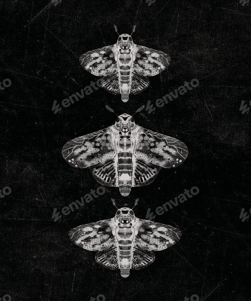 Preview: Design of The Hawk Moth Spirit Guide, a symbol of death, messenger from the dead, Lepidopterist