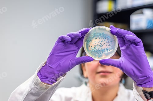 Preview: Woman scientist examining bacterial culture plate