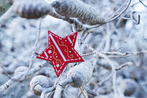 Preview: Scandinavian Christmas decorative wooden star prop on blue natural background with branches of tree