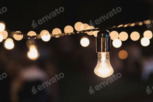 Preview: Decorative outdoor string lights hanging on a tree in the garden at night