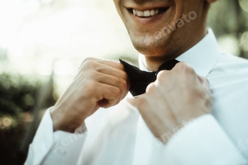 Preview: stylish elegant groom tying classic bowtie and smiling in the sunny woods