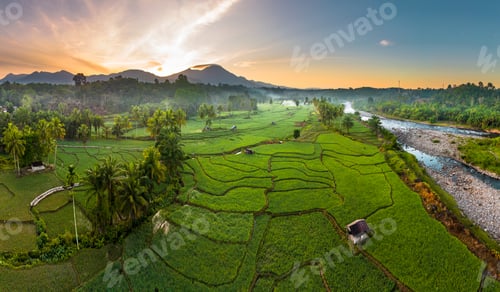 Preview: Beautiful morning view indonesia panorama landscape paddy fields