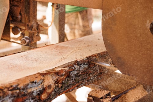 Preview: Close-up of sawing logs with a band saw at a sawmill