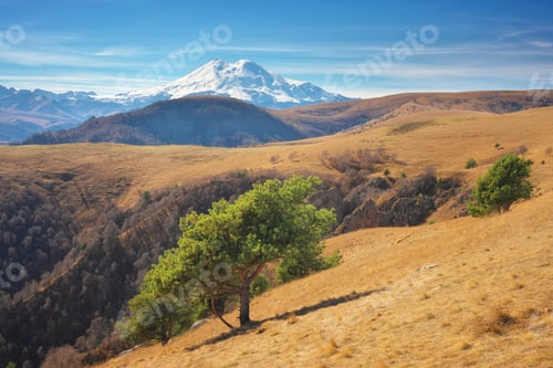 Preview: Elbrus mountain landscape and autumn pine.