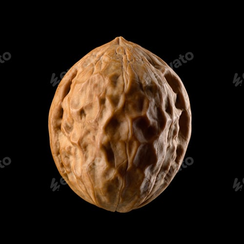 Preview: One whole walnut nut isolated on black background.