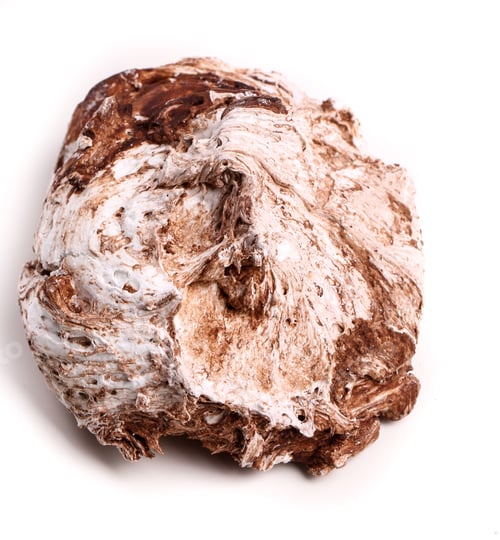 Preview: Meringue