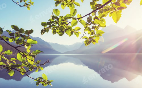 Preview: Bowman lake