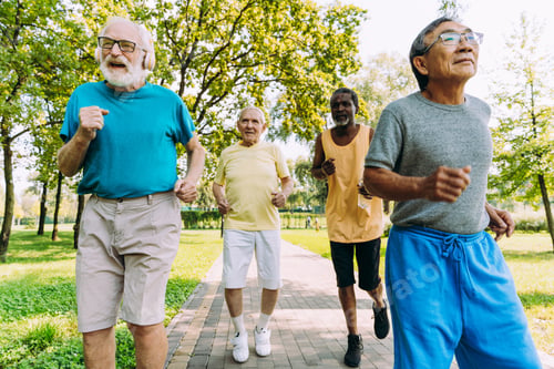 Preview: group of senior friends training at the park