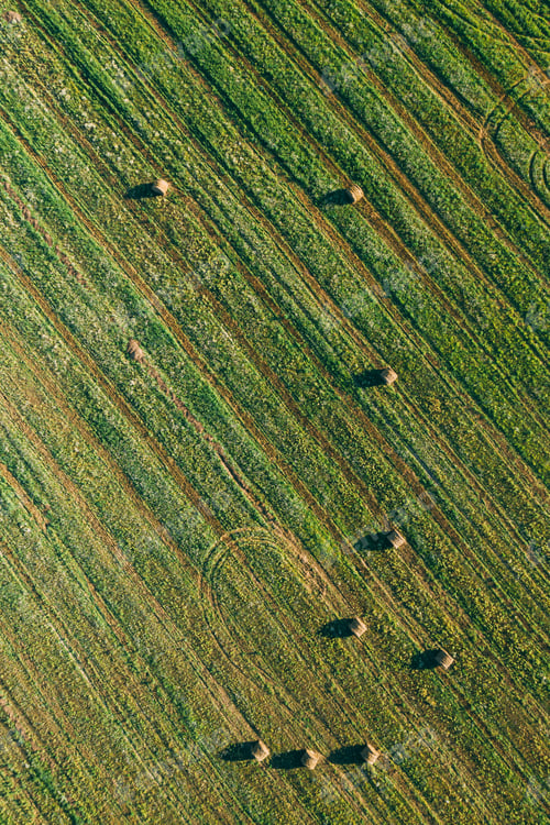 Preview: Aerial View of Summer Field Landscape With With Dry Hay Bales During Harvest. Trails Lines on
