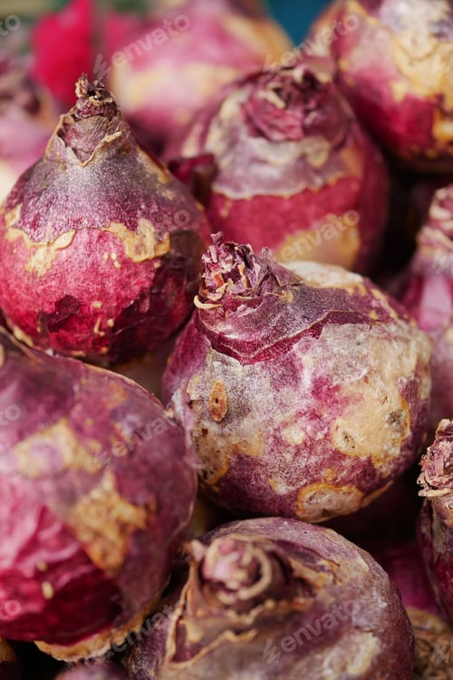 Preview: Fresh Organic Red Shallots Beautifully Arranged in a Rustic and Charming Setting