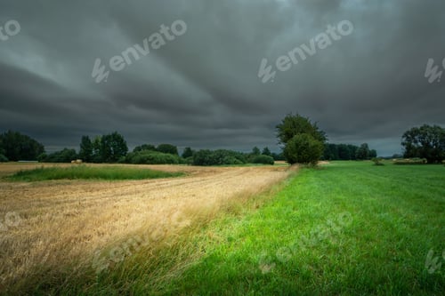 Preview: Rural landscape with fields on a cloudy summer day