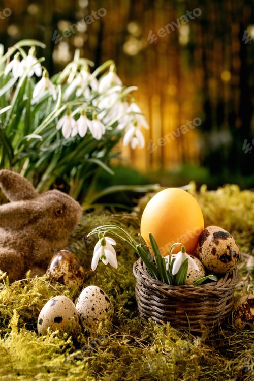 Preview: Easter card with blossom spring flowers snowdrops in forest