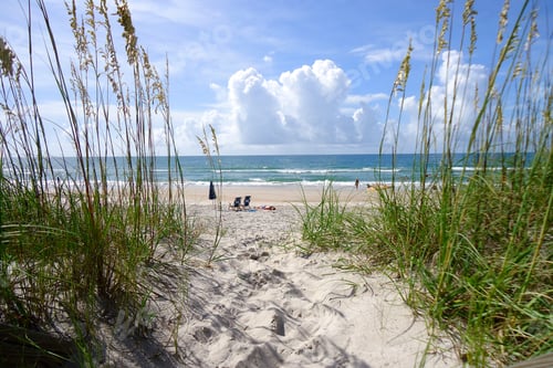 Preview: Perfect weather at beach blue skies puffy clouds on summer day. Path through sea oats sand dunes
