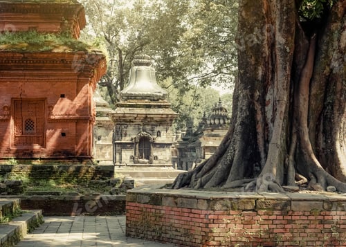 Preview: Hindu Shrine Pashupatinath Temple. Kathmandu. Nepal