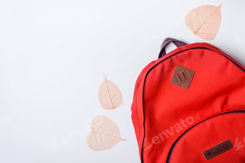 Preview: Backpack and orange leaves on a blue background