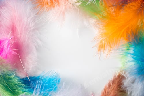 Preview: Frame of multi-colored light feathers on a white background.