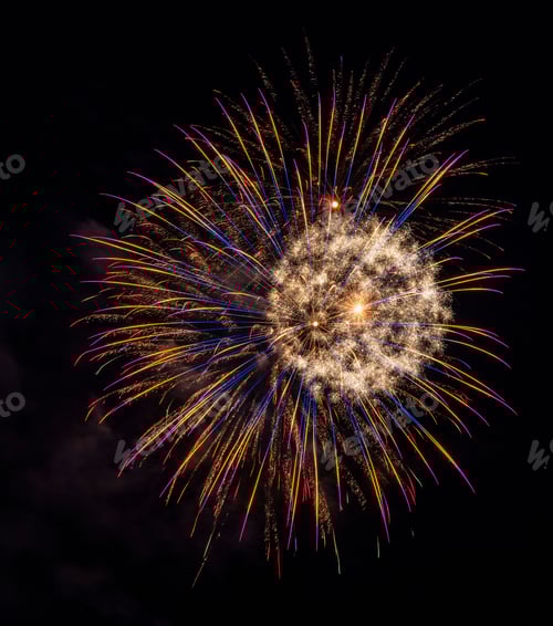 Preview: Vertical shot of exploding colorful fireworks in a dark night sky