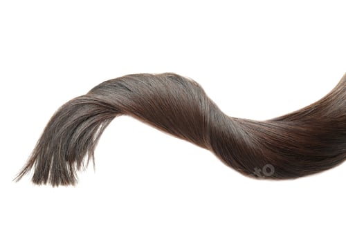 Preview: A lock of female hair on white background