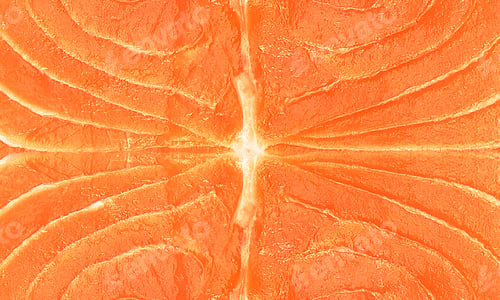 Preview: red raw salmon fish food