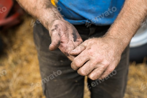 Preview: Close-up of farmer's hands