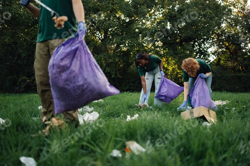 Preview: Group of volunteers collecting garbage in park