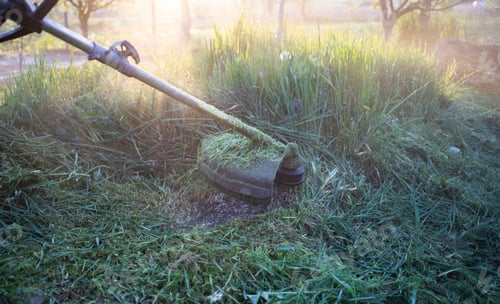 Preview: mowing a lawn with lawn mower