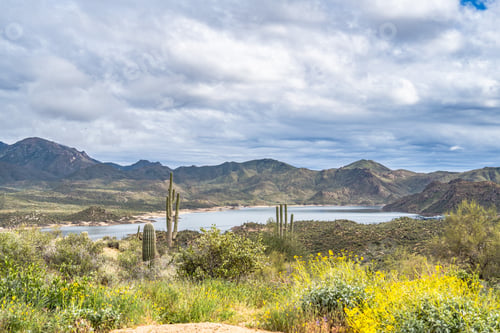 Vorschau: Atemberaubender Blick auf den Bartlett Lake in Arizona im Frühling