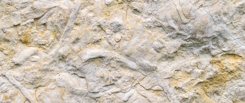 Preview: light limestone with interesting texture visible. background
