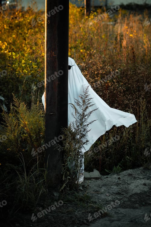 Preview: autumn