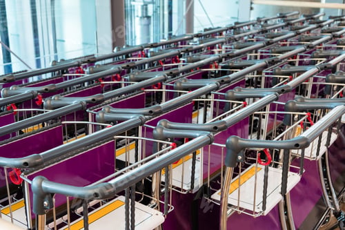 Preview: Empty Luggage trolley rows a storage