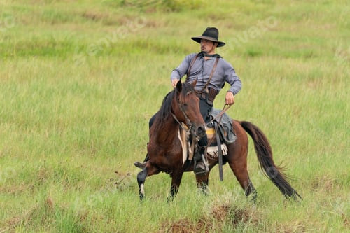 Preview: Cowboy on horse, Horse riding of cowboy in the farm.