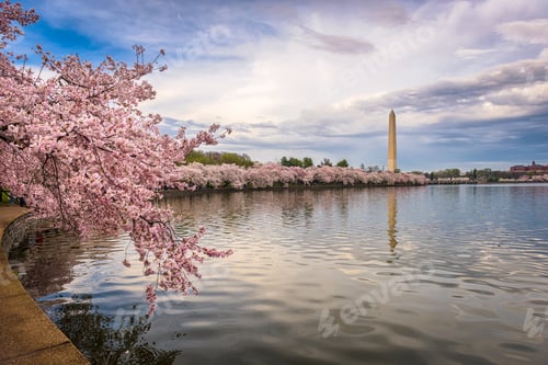 Preview: Washington DC in Spring
