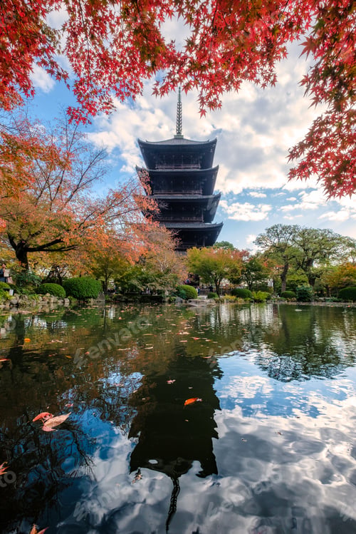 Preview: Ancient wood Toji temple reflection pond in maple leaves garden at Kyoto