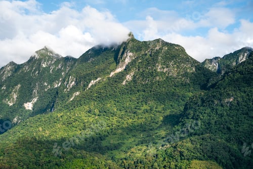 Preview: Green mountain view at Chiang Dao