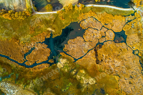 Preview: Autumn Forest And River