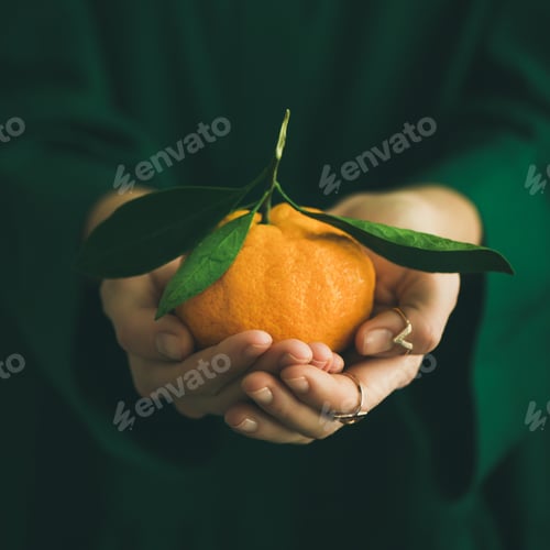 Preview: Fresh tangerine citrus fruit in hands of lady, square crop