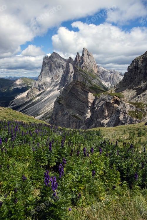 Preview: Majestic mountain scenery - Seceda, Dolomites, Italy.