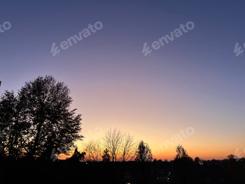 Preview: Silhouette of trees against a colorful sunset sky.