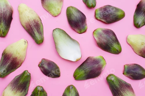Preview: Fresh green purple artichoke petals