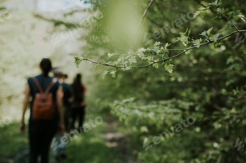 Preview: Friends hiking in the forest near a mountain