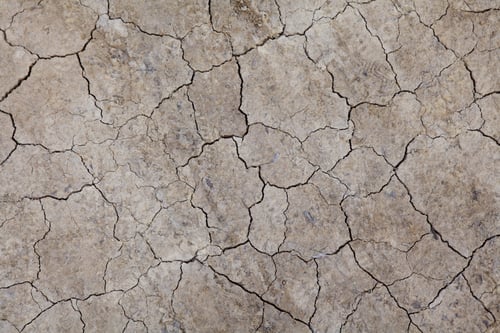 Preview: Dried crack land