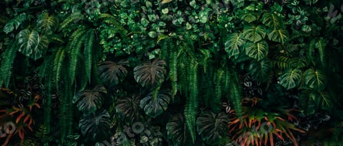 Preview: Close up group of background tropical green leaves texture and abstract background.