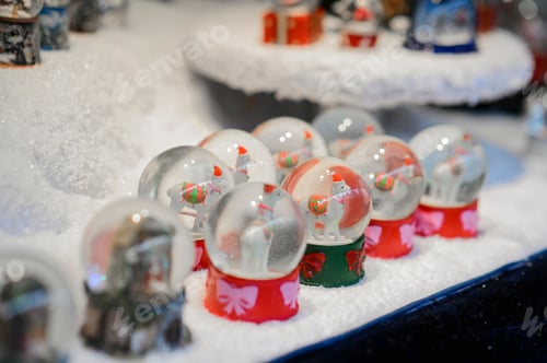 Festive Snow Globes with Llamas at Christmas