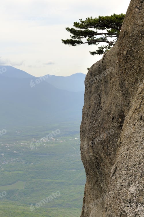 Preview: Mountain landscape, tree on a cliff top