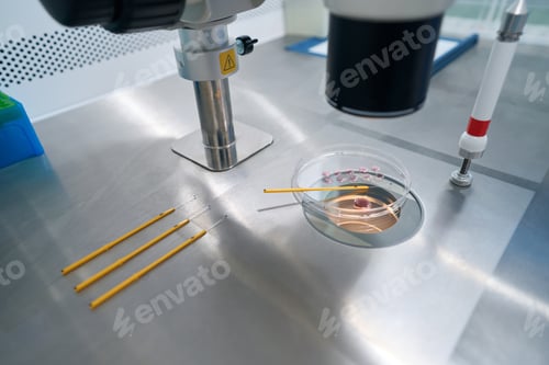 Preview: Top view of special glass and straws for embryos