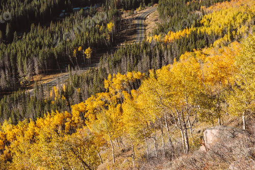 Preview: Highway at autumn in Colorado, USA.