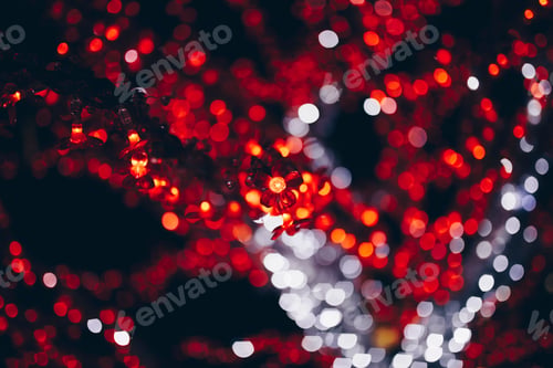 Preview: Closeup shot of red and white lights on the trees at Christmas